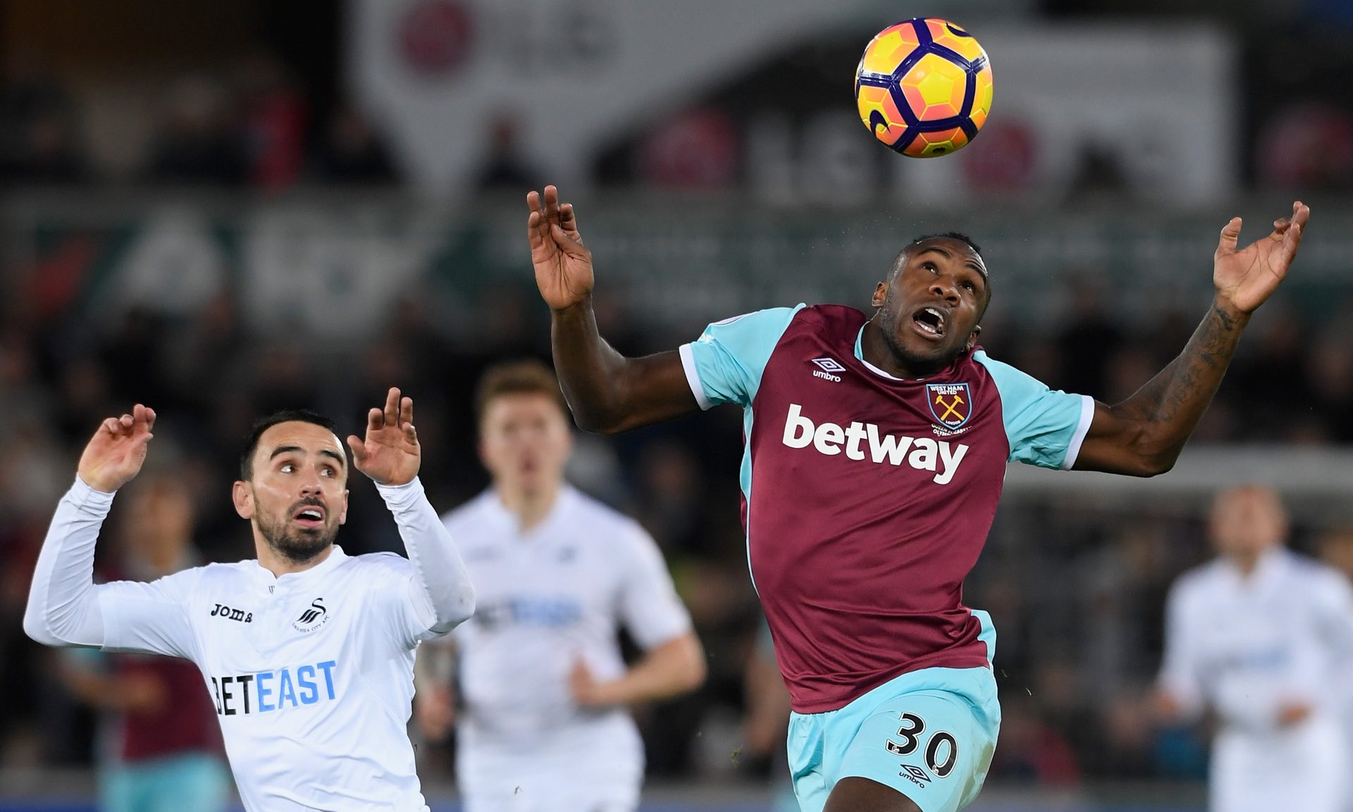 具针对性的 具针对性的